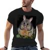 Possum TShirt t shirt Unisex cotton cotton t shirt Unisex Unisex t shirt cotton  Tshirt