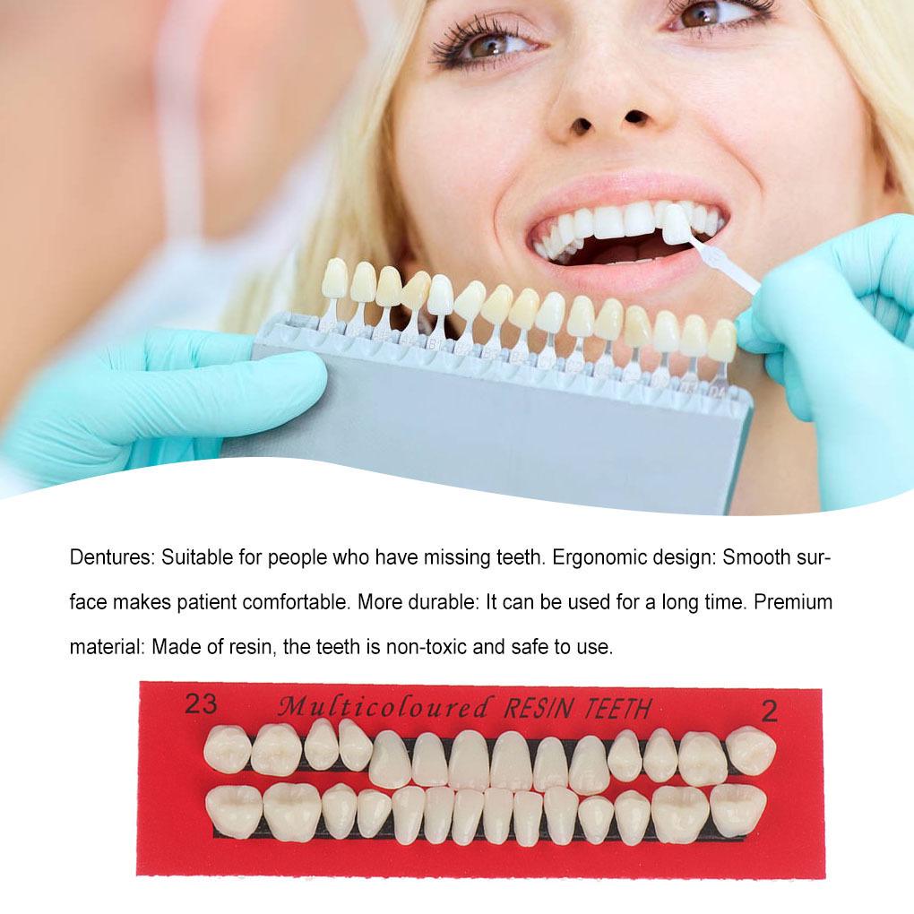 28 студенческих стоматологических слепков с зубными протезами для обучения устной речи