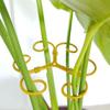 Yousheng Plant Stem Holder Monstera Plant Stabilizer Metal Plant Support Stem Stabilizer for Indoor Plants Potted Flowers Upright Growth