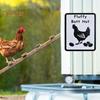 Farmhouse Chicken Sign Cluck Around And Find Out Sign Crowing Rooster Wall Art Desktop Sign for Chicken Coop Home Farm Garden Decor