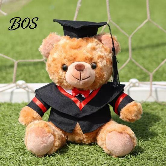 Luxury Gift Packaging Bear Personalized Graduation Gifts 2026 for Her, Cute Teddy with Embroidered Gown Award And Cap, Soft Plush Mascot College High