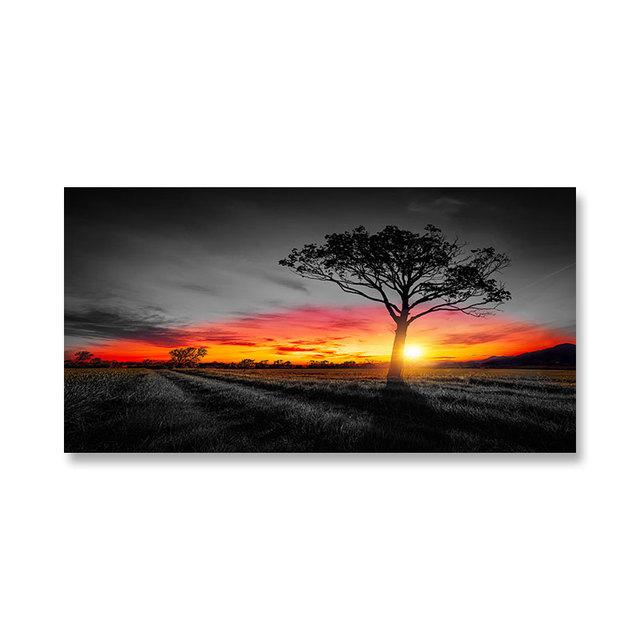 Современный Восход Закат Пейзаж Холст Картины Солнечное Дерево Настенные Картины Тайный Цвет Стены Искусства для Гостиной Настенный Декор Куадрос Без Рамки
