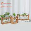Прозрачная гидропонная ваза с деревянной рамой, небольшая настольная подставка для цветочной композиции