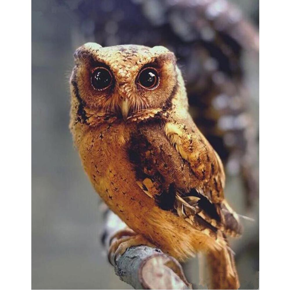 5D DIY алмазная живопись корова вышивка крестиком полная квадратная/круглая дрель Алмазная вышивка животные горный хрусталь фотографии ремесла подарок