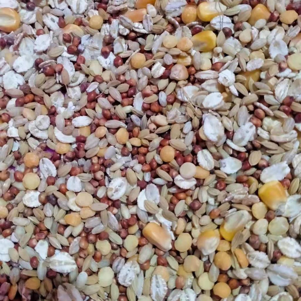 Корм для хомяков: Зерновые, морепродукты, фрукты, овощи и мучные черви собственного производства для мелких домашних животных