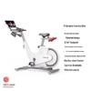 Yexiaoshou V1 Smart Magnetic Spinning Bike CN plug (adapter included)