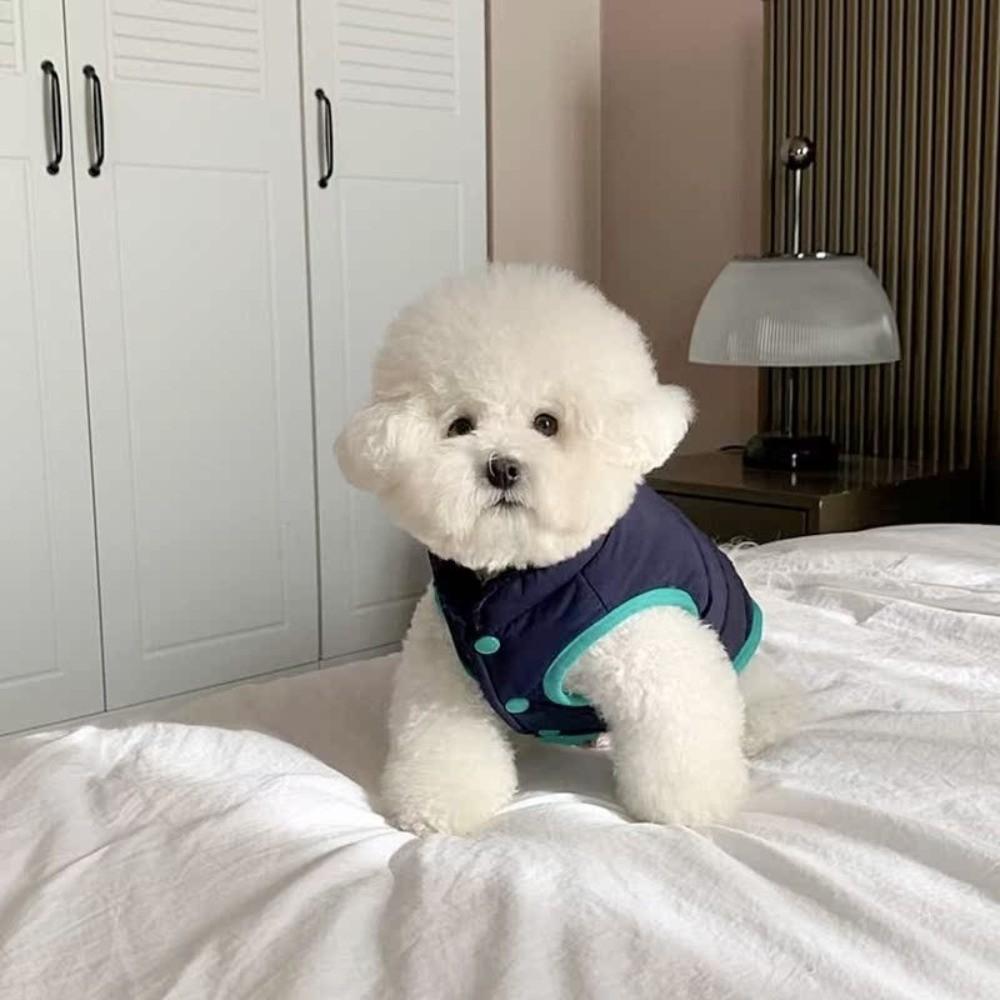 Plush Dog Hiking Jacket Windproof Dog Bodysuit Cute Dog Warm Clothes Puppy