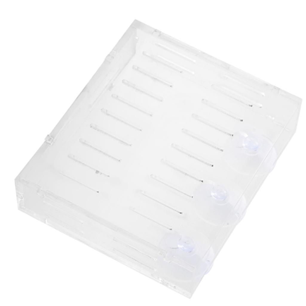 Аквариумный Растение Водная Трава Чаша Ландшафтные Растения Культивация Бассейн Чаша с Присосками