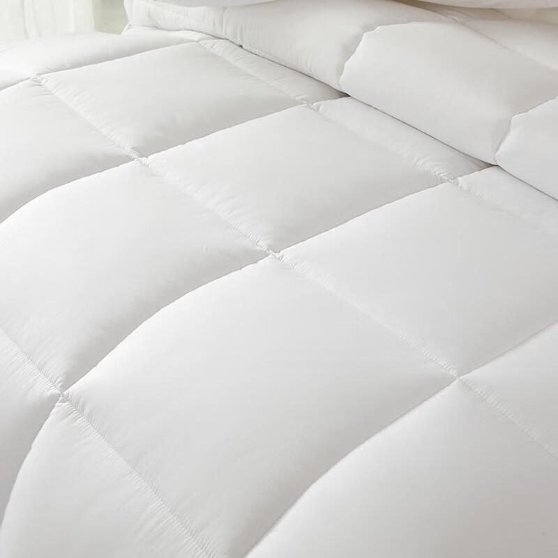 Faunen TH-B1042 All-Season Polyester Duvet 200x230cm