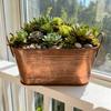Bronze Tinplate Large Multi-functional Succulent Planter Bucket