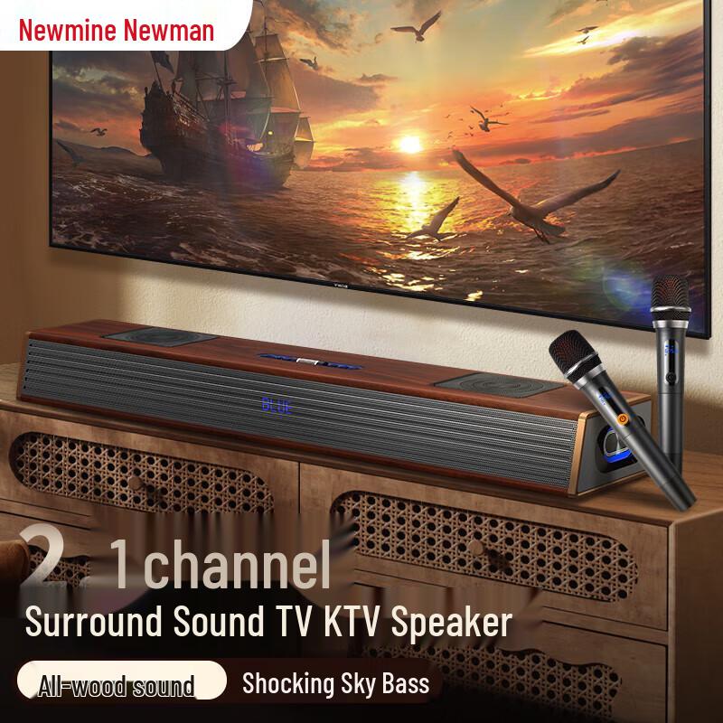 Newman G69 PRO Home Theater Soundbar with Wireless KTV