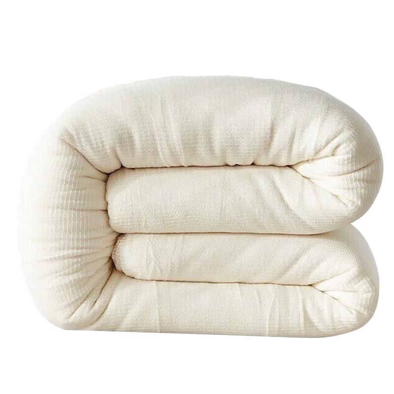 Jinglangtu 100% Cotton All-Season Duvet Insert