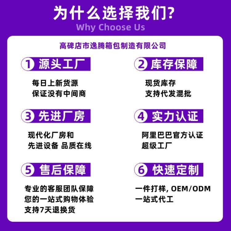 Premium Texture Niche Handbag Bag Women's New Fashion Chain Bag Versatile Shoulder Messenger Bag Women