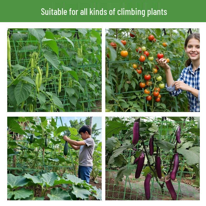 Стальная арочная труба с пластиковым покрытием: U-образная опора для вьющихся растений в теплице для огурцов и томатов