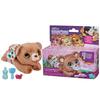 HASBRO FurReal Baby Медвежонок Дрема Аниматронная Плюшевая Игрушка, которая Реагирует на Голос и Издает Милые Лающие Звуки, для Детей от 4 лет и Аутентичный Продукт, Звуки, Мигает,