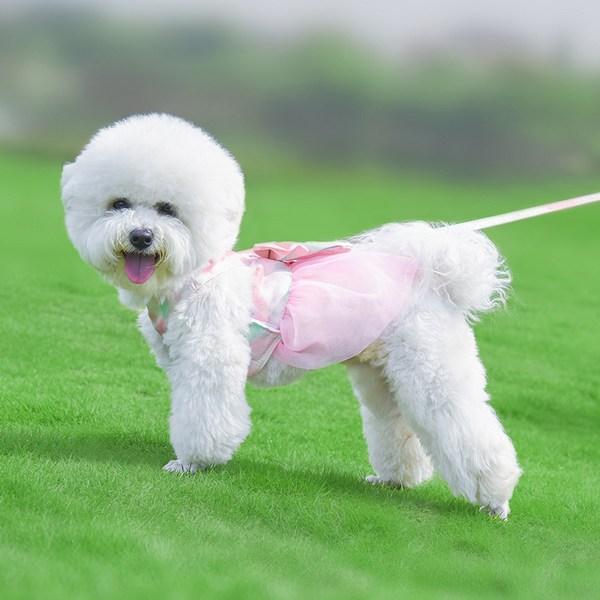Комплект шлейки для юбки с градиентной лентой Ranboer Pet, тип A