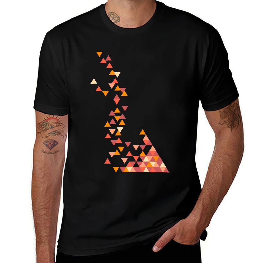 Triangles TShirt Big and Tall Gym TShirt
