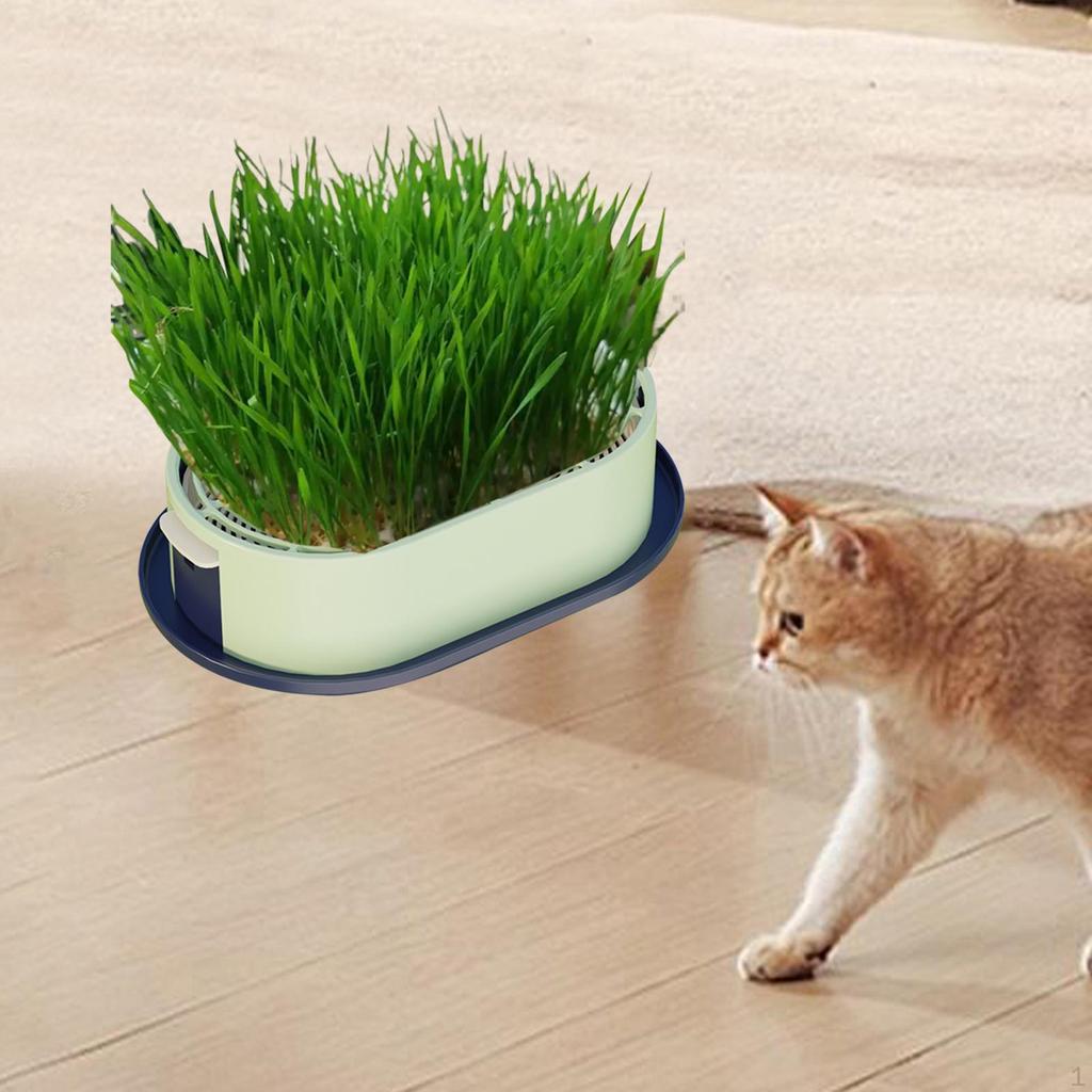 Cat Grass Germination Kit, Lightweight Tray.