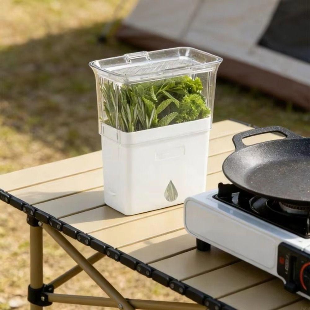 Plastic Fresh Herb Keeper Airtight Vanilla Bean Storage Box Vegetable Keeper Prolongs Produce Life