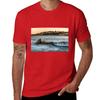 Moody Coogee Beach Tshirt Vintage Clothes Summer Clothes Unisexs Graphic Tshirts Pack