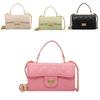 Small Square Bag Women's 2024 New Crossbody Bag Ladies Fashionable Simple Handbag