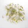 100pcs Plastic MT 18 Non Stick Presser Foot for Industrial Sewing Machines