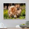 Diamond Embroidery Dog Diamond Painting Picture of Rhinestones Cross-stitch Kits Christmas