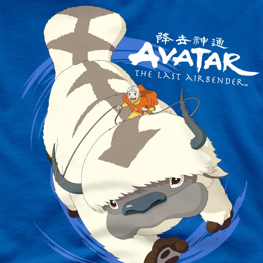 Аватар: Футболка мужская «Аватар: Легенда об Аанге» с Аппой в полете