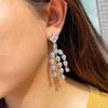 Popular Full Diamond Inlaid Zircon Long Tassel Water Drop Earrings Wedding Jewelry Earrings Earrings