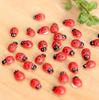 50шт миниатюрный DIY маленький садовый декор Coccinella Septempunctata изделия из смолы