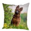 Персиковый кожаный чехол для подушки Подушка с изображением овчарки Домашнее животное Животное Подходит для детской комнаты