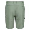 Regatta Mens Leesville II Walking Shorts