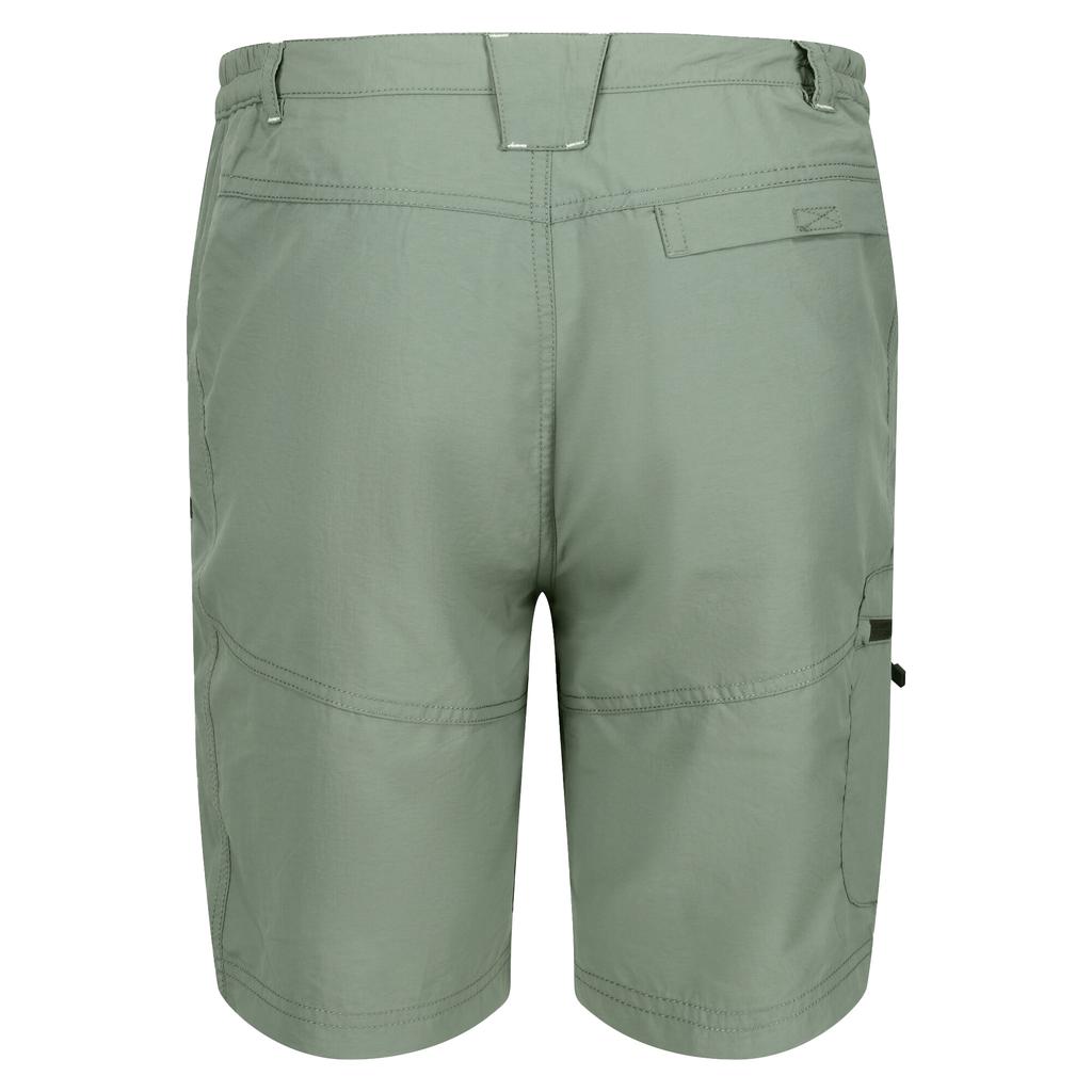 Regatta Mens Leesville II Walking Shorts
