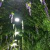 12 Pcs 2M Artificial Hanging Vine Plant Leaves Plastic Home Garden Wall Wedding Decoration