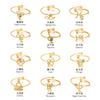 Personalized Ring, Stainless Steel Vacuum Plated 18K Gold Twelve Constellation Opening Single Bracelet.