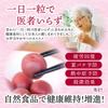 Yajibee Koshu Koume 500 г Произведено в префектуре Яманаси Без красителей и консервантов Домашние хрустящие сливовые закуски Для ланч-боксов или обеденных столов