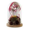 Decorative Figurine - NATURAL - Glass and MDF Wood - 17 X 17 X 26 Cm - Contemporary Style - Mixed