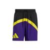 Мужские баскетбольные шорты с цветными блоками и логотипом, темно-фиолетовые HK9465