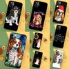 Чехол для телефона iPhone 13 12 Mini 11 14 16 15 Pro Max 7 8 Plus X XR XS Max с изображением собаки Кавалер-кинг-чарльз-спаниель Задняя крышка
