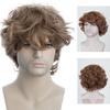 Synthetic Short Curly Wigs for Men Dark Brown Hair Wig with Bangs Fashion Perm Curls Hairstyle Natural Male Wigs Daily Cosplay