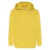 Fruit of the Loom Childrens/Kids Classic 260 Hoodie
