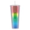 710ml Plastic Straw Cup Drinking Cup Double-Walled Water Tumbler with Lid Bubble Tea Cup Large Capacity for Home & Outdoor