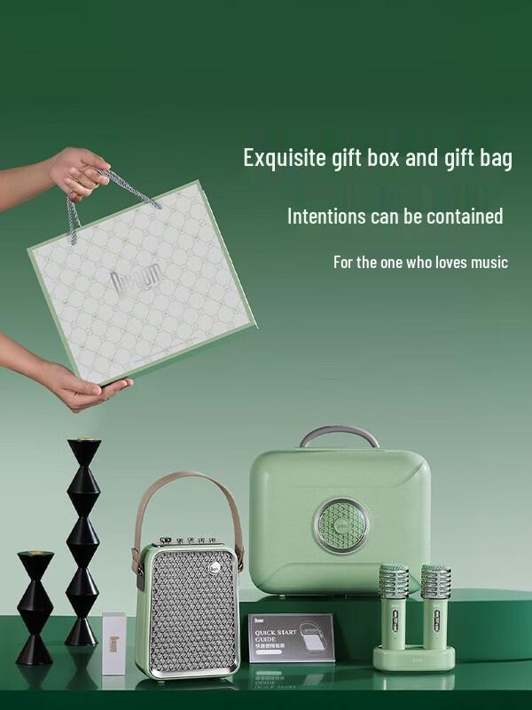 Divoom Portable KTV Bluetooth Speaker System with Dual Microphones