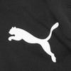 Puma Тренировочные брюки Team Liga 3 4