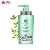 Fenghua Herbal Essence Shampoo