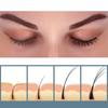 Eyelash Nutrition Eyelash Essence Eyebrow Hair Growth Treatment, 4 Pcs, 3ml