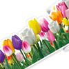 5/10M/Roll Tulip Flower DIY School Blackboard Classroom Floral Bulletin Border Mother's Day Coated Paper Bulletin