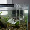 Acrylic Turtle Basking Dock Multi-Functional Hanging Turtle Basking Dock Tortoise Climbing Ladder High Guardrails