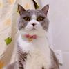 PetSoKoo Bowtie Cat Collar with Bell.Cute Japanese Cherry Blossom Flower.Girl Kitten,Pink