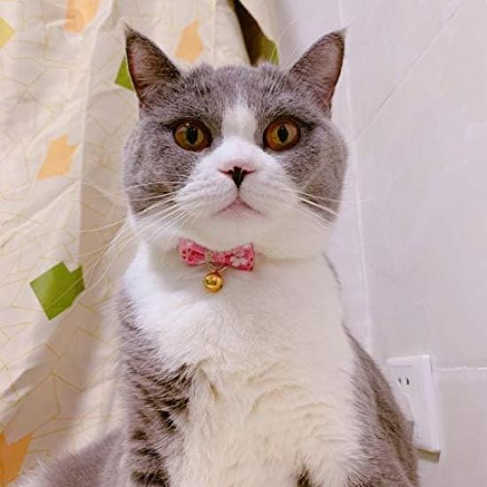 PetSoKoo Bowtie Cat Collar with Bell.Cute Japanese Cherry Blossom Flower.Girl Kitten,Pink